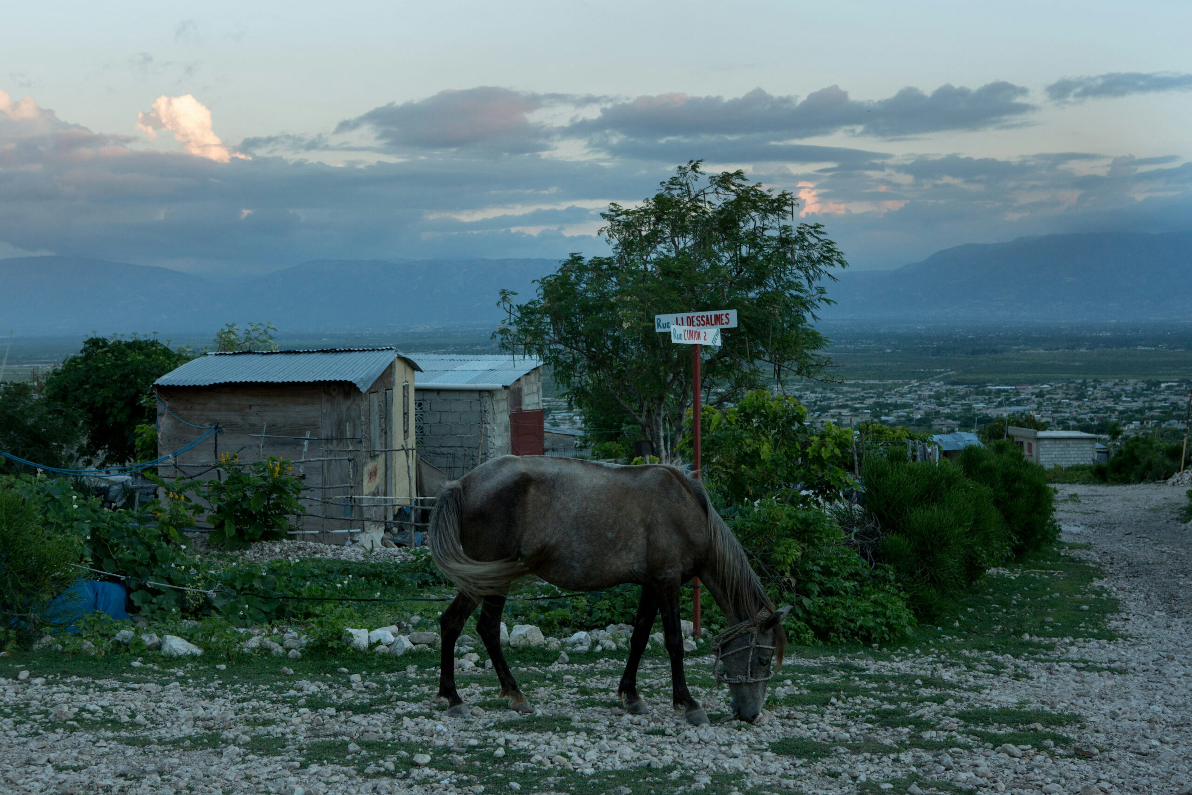 A horse grazes as night falls in upper Onaville, part of greater Canaan, May 13, 2016.